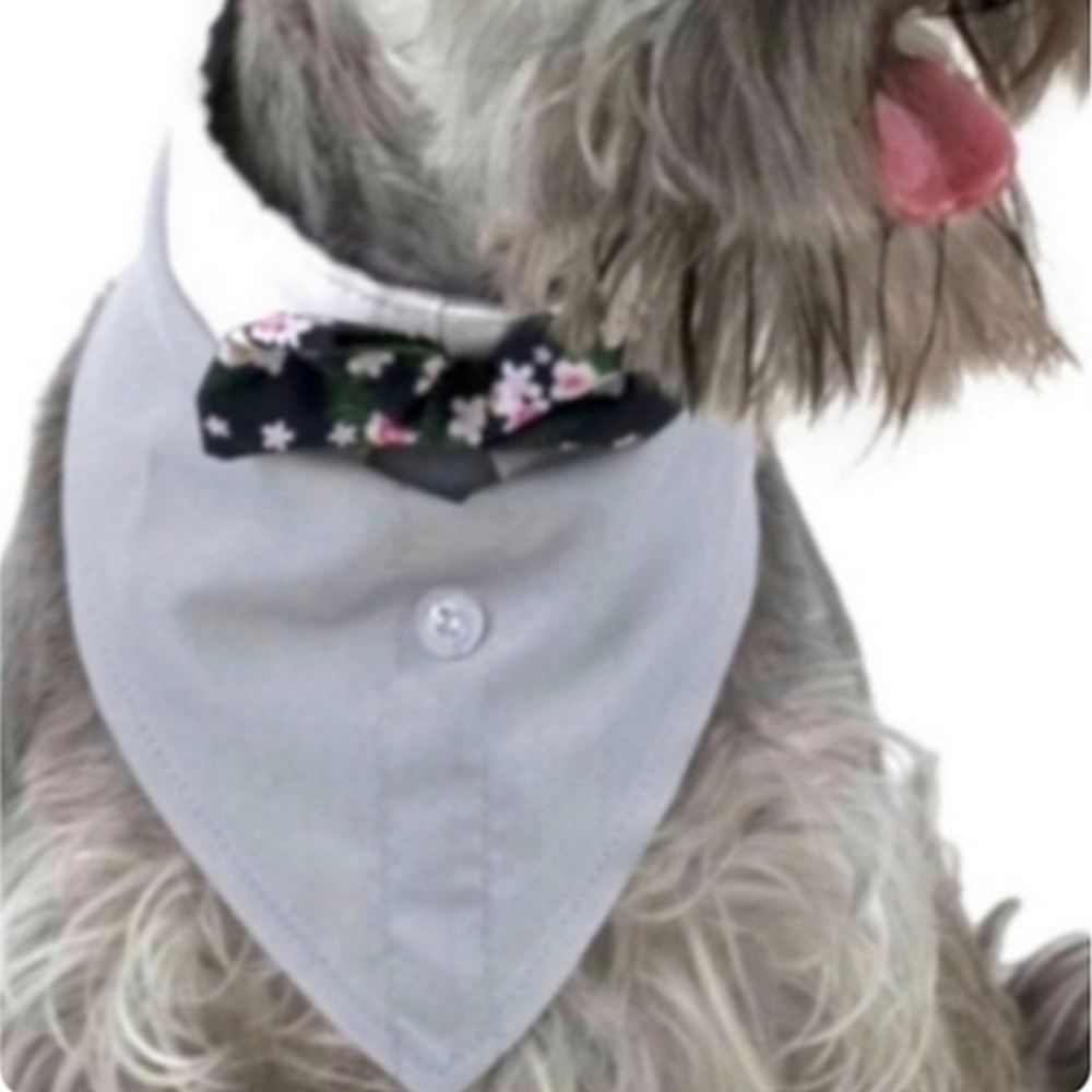 Vibrant Life Dog Bandana Costume Size Medium Large